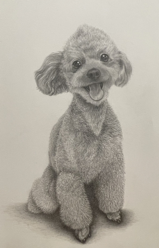 出展イメージ4