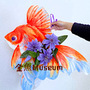 金魚Museum
