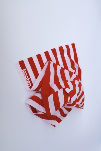 出展イメージ3