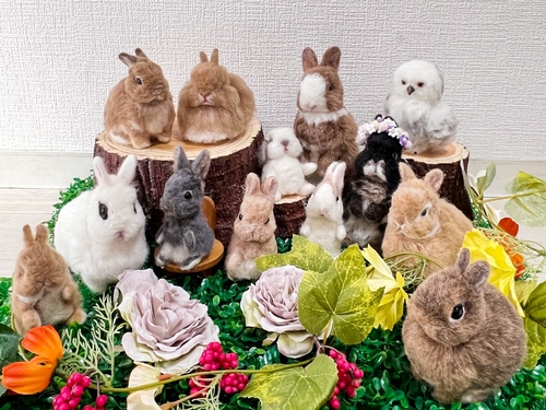 出展イメージ1