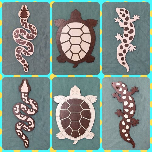 出展イメージ5