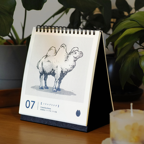 出展イメージ5